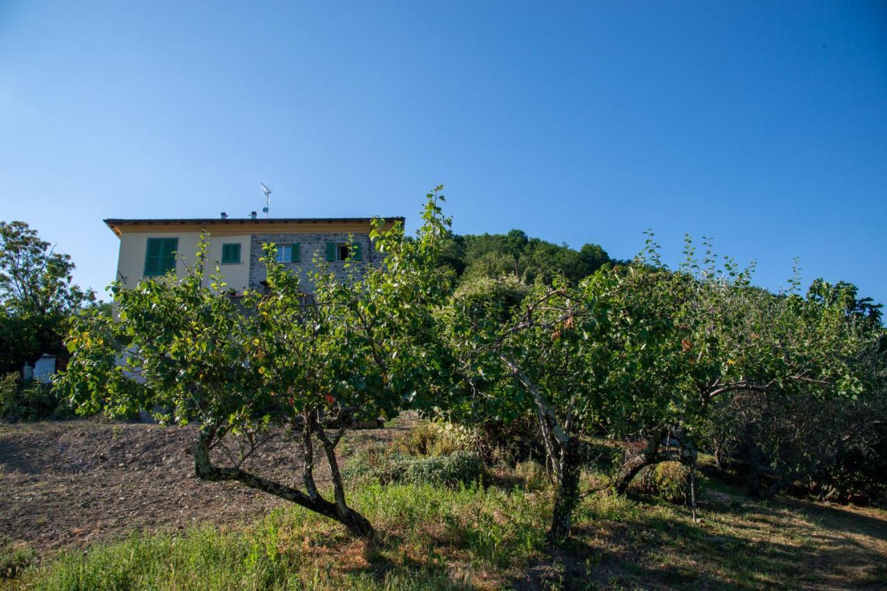 La Beppa - Casa Vacanza Pontremoli Esterno foto
